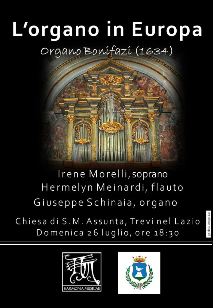 immagine per L'organo in Europa